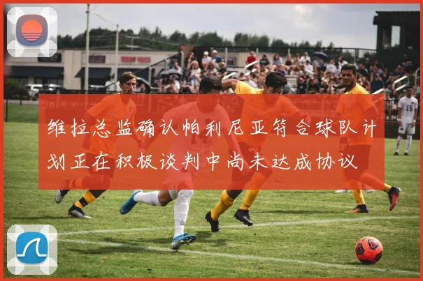 维拉总监确认帕利尼亚符合球队计划正在积极谈判中尚未达成协议