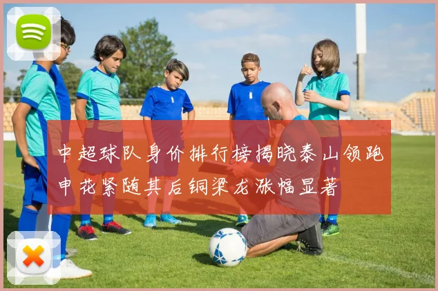 中超球队身价排行榜揭晓泰山领跑申花紧随其后铜梁龙涨幅显著