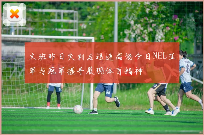文班昨日失利后迅速离场今日NHL亚军与冠军握手展现体育精神