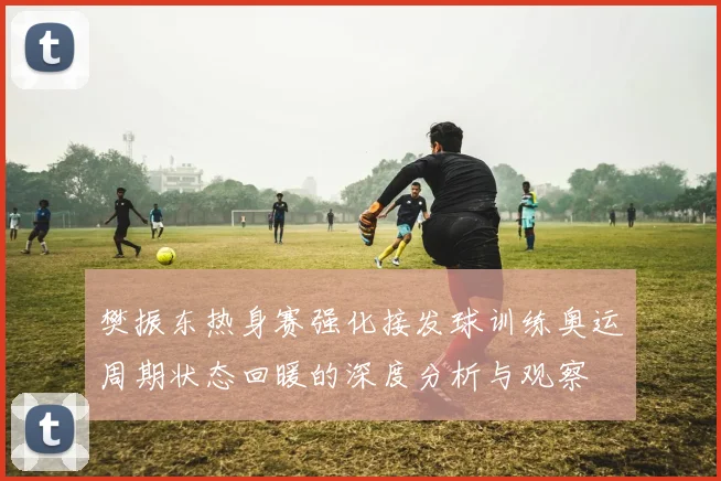 樊振东热身赛强化接发球训练奥运周期状态回暖的深度分析与观察